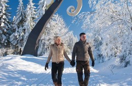 6 Skigebiete, zahlreiche Winterwanderwege und 400km Loipennetz machen die Schneevergnügen vor der Haustür in der Wintersport-Arena Sauerland