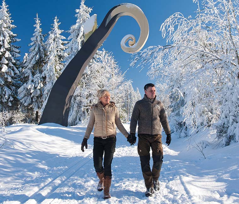 6 Skigebiete, zahlreiche Winterwanderwege und 400km Loipennetz machen die Schneevergnügen vor der Haustür in der Wintersport-Arena Sauerland