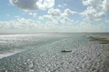 Das Weltnaturerbe Wattenmeer im Nordseeheilbad Büsum ist eine einzigartige Landschaft, die es sich zu entdecken lohnt.