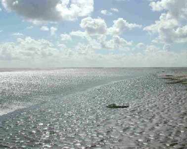 Das Weltnaturerbe Wattenmeer im Nordseeheilbad Büsum ist eine einzigartige Landschaft, die es sich zu entdecken lohnt.