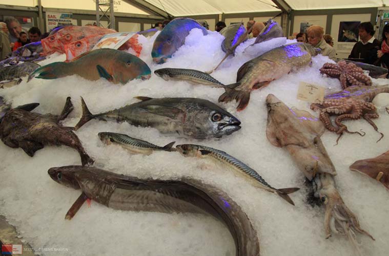 Die FISCHparty in Bremerhaven ist ein Festival für Fischliebhaber und Feinschmecker